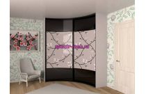 Шкаф-купе радиусный Камея 47