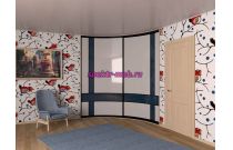 Шкаф-купе радиусный Пэр 19.8