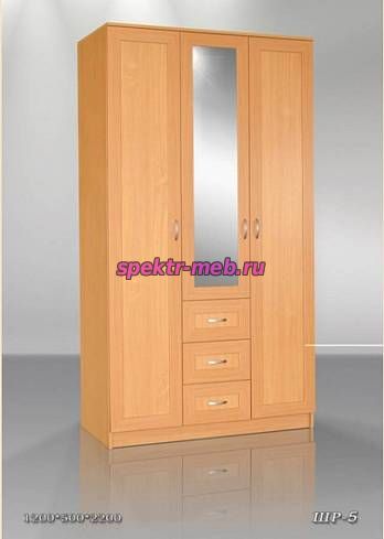 Шкаф распашной ШР 5
