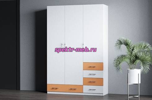 Распашной шкаф Гамма 19