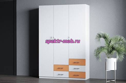 Распашной шкаф Гамма 21
