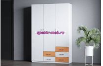 Распашной шкаф Гамма 21