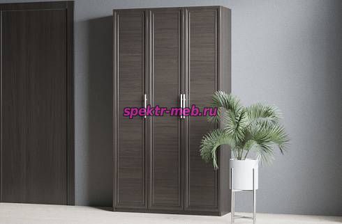 Распашной шкаф Крона 5