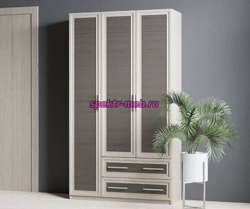 Распашной шкаф Крона 23