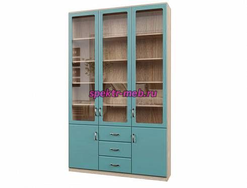 Шкаф книжный Кволли 10.10