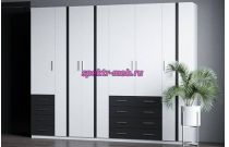 Распашной шкаф Гамма 8