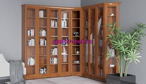 Книжный шкаф распашной Рита 7
