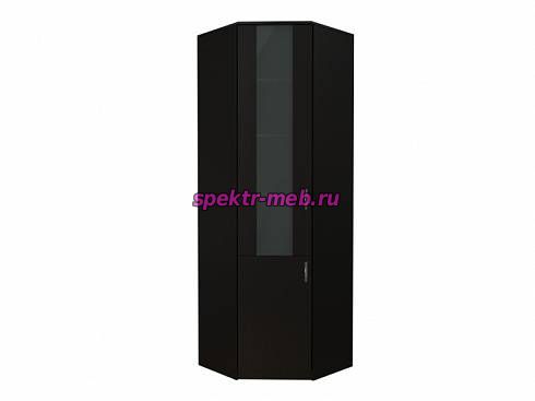 Угловой шкаф для книг Пит 2