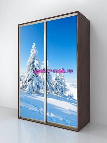 Шкаф-купе Ель 04054
