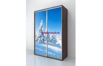 Шкаф-купе Ель 04054