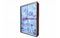 Шкаф купе Мираж-1047