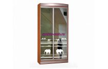 Шкаф купе Стиль 1-5