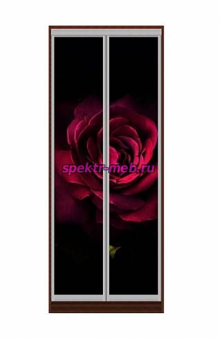 Шкаф-купе Розы 15