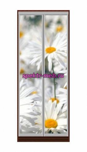 Шкаф-купе Ромашки 3