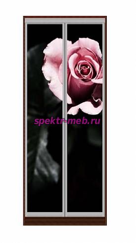 Шкаф-купе Розы 28