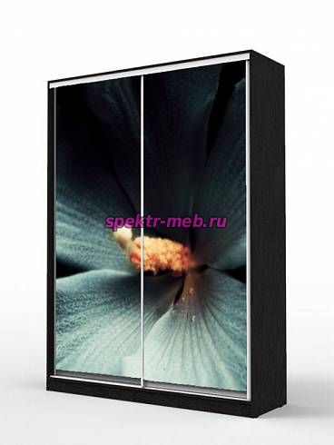 Шкаф-купе sk-082