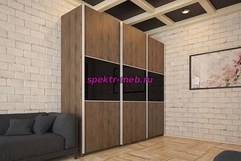 Шкаф-купе Риан 20