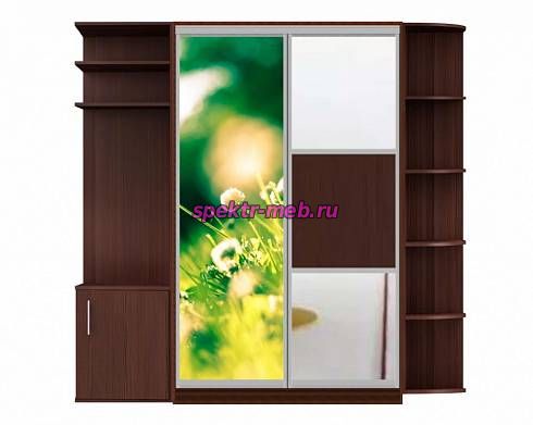 Шкаф-купе Диона 11