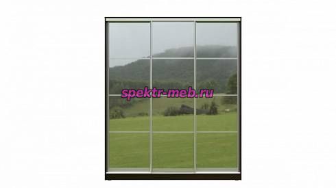 Шкаф-купе ПРЕМИУМ ЗЕРКАЛЬНЫЙ 8.1