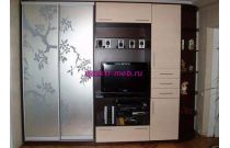 Шкаф купе TV-7