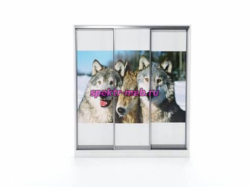 Шкаф купе EL-02