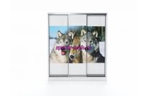 Шкаф купе EL-02