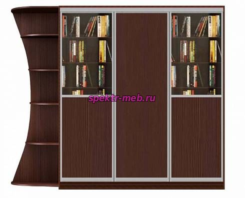 Шкаф-купе Нико 23