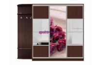 Шкаф-купе Флора 7