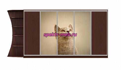 Шкаф-купе Киттен 26