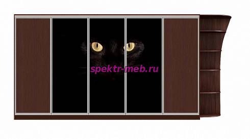 Шкаф-купе Блэк 157