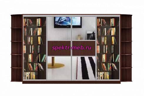 Шкаф-купе Денвер 2.1