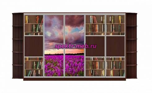 Шкаф-купе Мираж 13