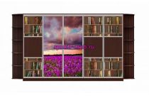 Шкаф-купе Мираж 13