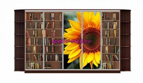 Шкаф-купе Мираж 16