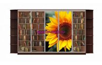 Шкаф-купе Мираж 16