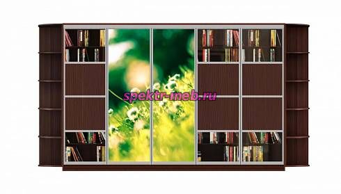 Шкаф-купе Мираж 15