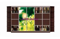 Шкаф-купе Мираж 15