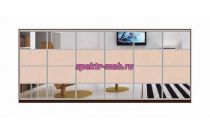 Шкаф-купе Зеро 11