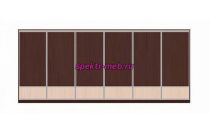 Шкаф-купе Дуо 2