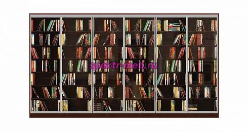 Шкаф-купе Бильбо 1