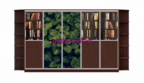 Шкаф-купе Мираж 3