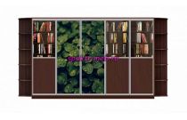 Шкаф-купе Мираж 3