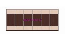 Шкаф-купе Клайд 22