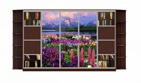 Шкаф-купе Каролина 9