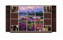 Шкаф-купе Каролина 9