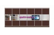 Шкаф-купе Лари 3