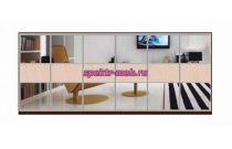 Шкаф-купе Стайн 1