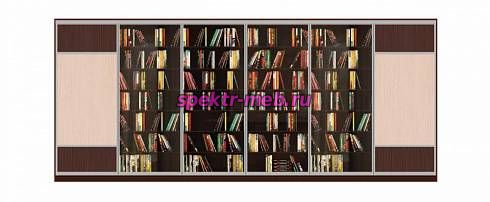 Шкаф-купе Книжный 2
