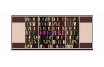 Шкаф-купе Книжный 2