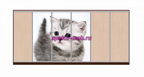 Шкаф-купе Лайн 40